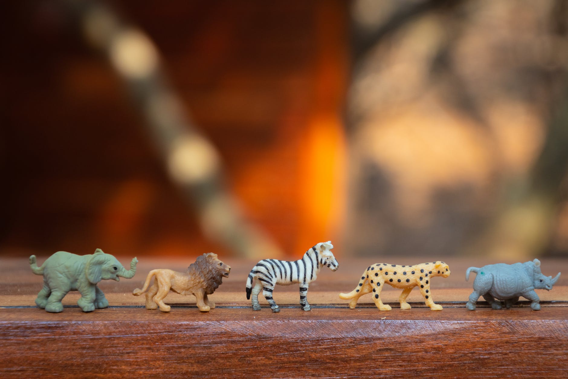 plastic animal toys on wooden surface
